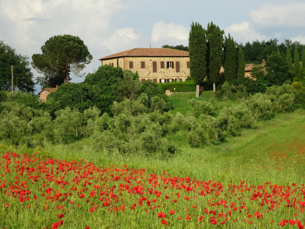 Country Casanova - La Torre Alle Tolfe Appart hôtel *